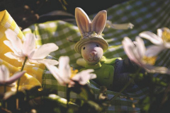 fred-ostern